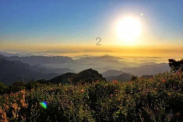 不结婚,但要生娃!50万买精生女的叶海洋,又花16万“生二胎”了