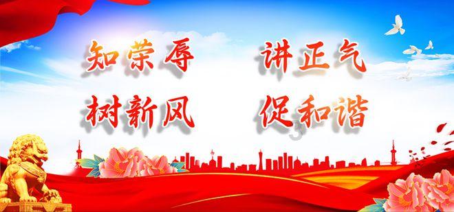 猫粮是为了方便还是为了猫咪的营养均衡？游戏画面